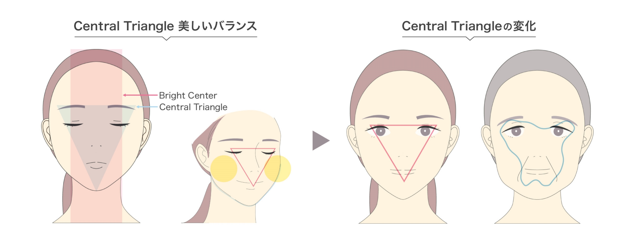 Central Triangle 美しいバランス Bright Center Central Triangle Central Triangleの変化