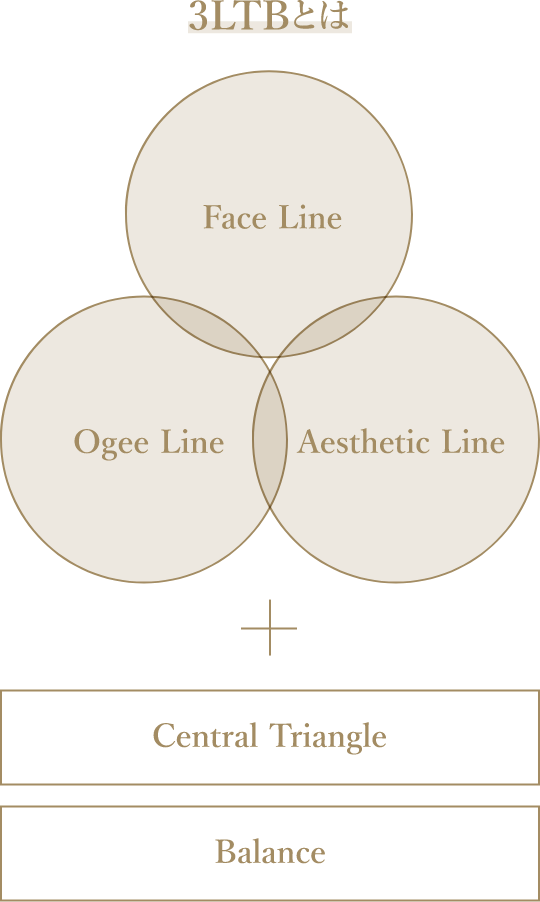 3LTB とは Face Line Ogee Line Aesthetic Line Central Triangle Balance