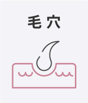 毛穴