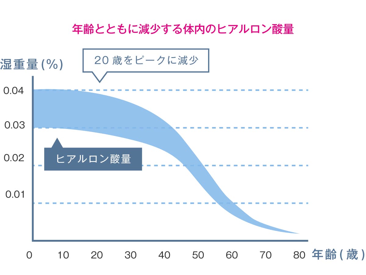 年齢とともに減少する体内のヒアルロン酸量の解説イラスト