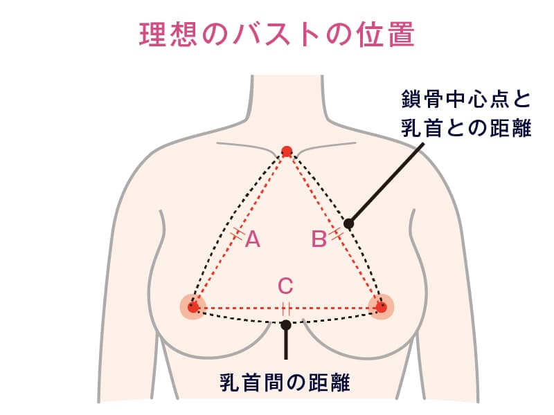 理想のバストの位置