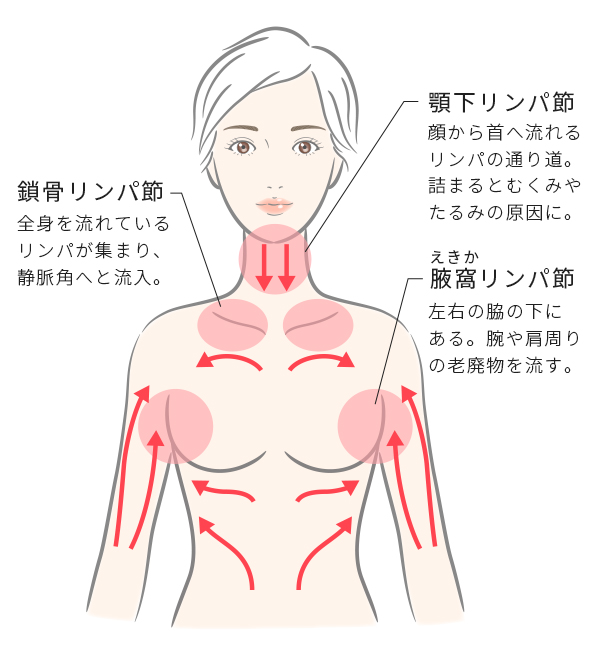 リンパ節の解説図
